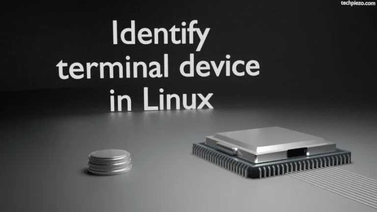 Identify terminal device in Linux