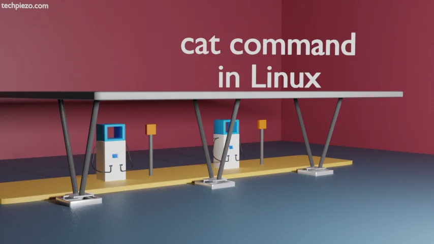 cat command in Linux