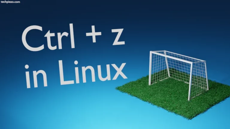 Ctrl + z in Linux