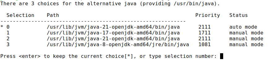 Available Java versions